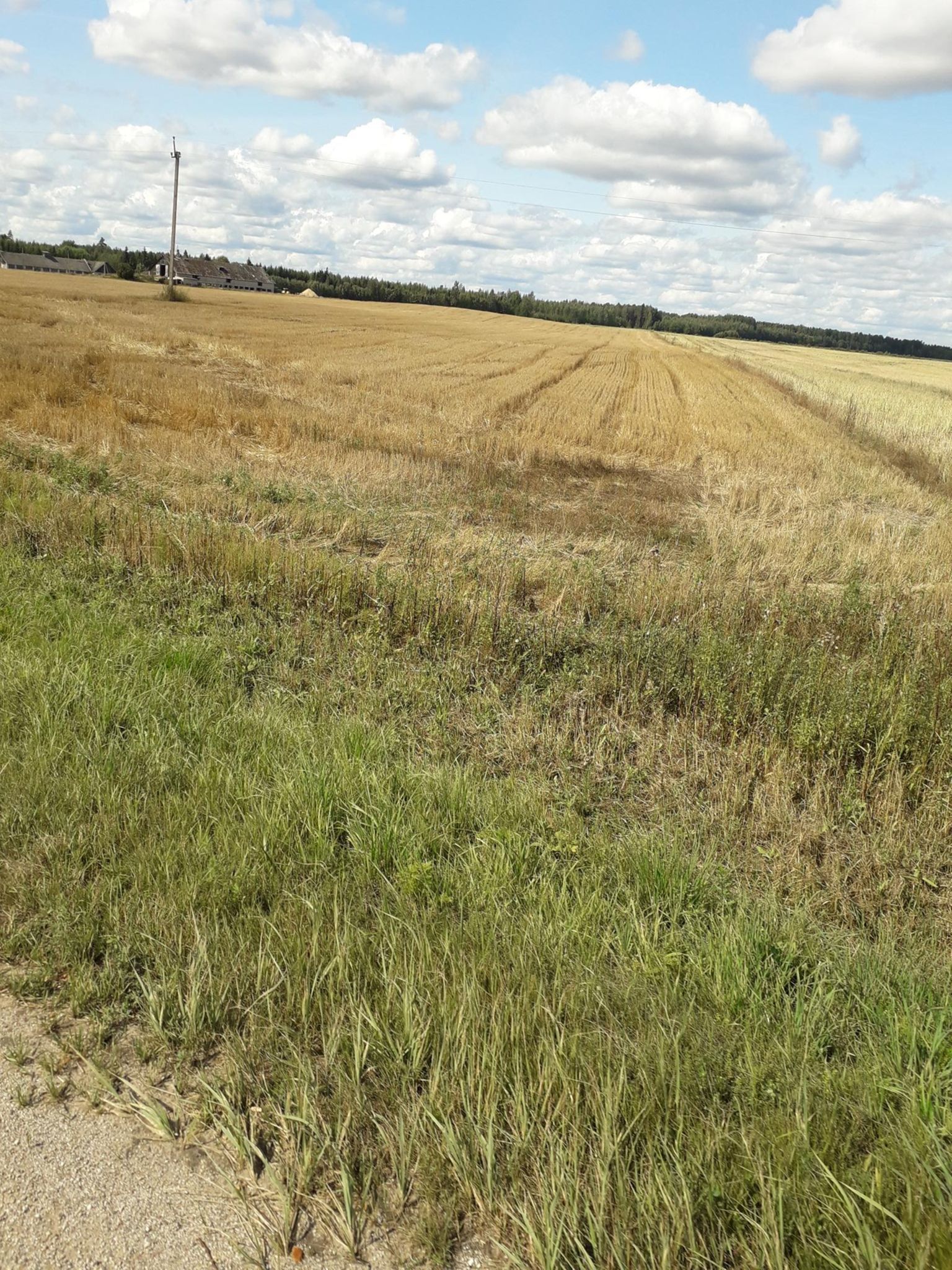 开云中国-p6)?M鲟侍鯺暸H觽Id謪?湐]懓袸"赒RT牛f亀ボ嶼的简单介绍